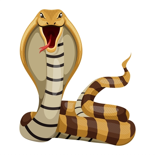 Jungle Safari Cobra Snake Transparent Sticker